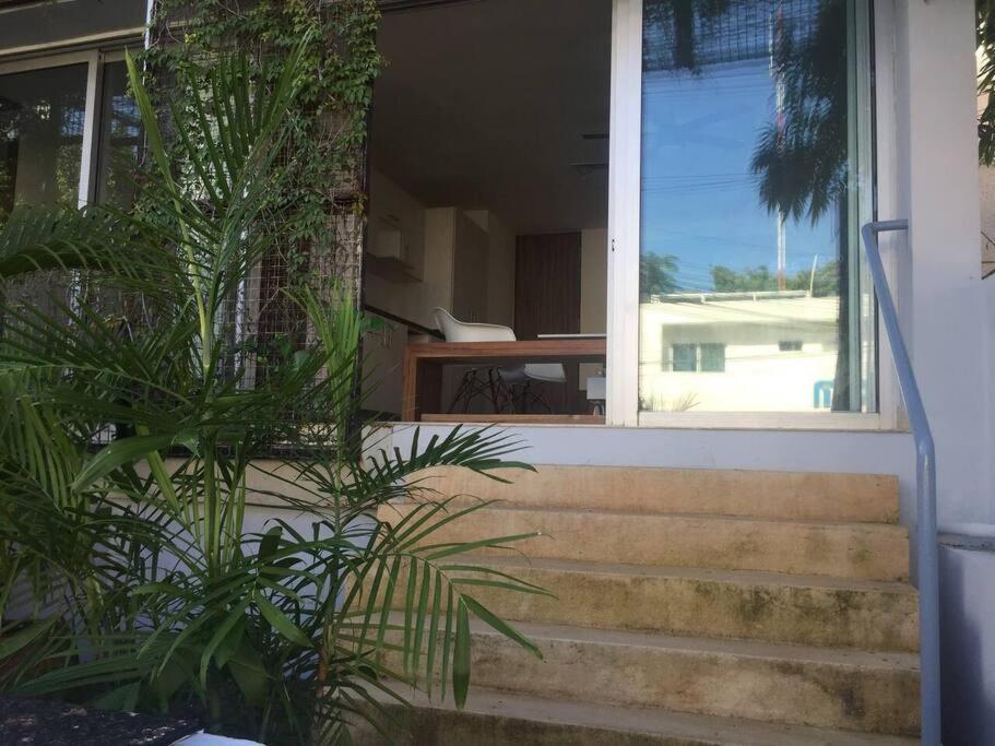 Danzamar 1b With Pool & Rooftop Near Mamitas Apartamento *